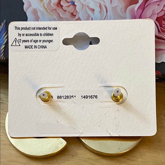 Pink and Green Watermelon Earrings - Picture 4 of 4